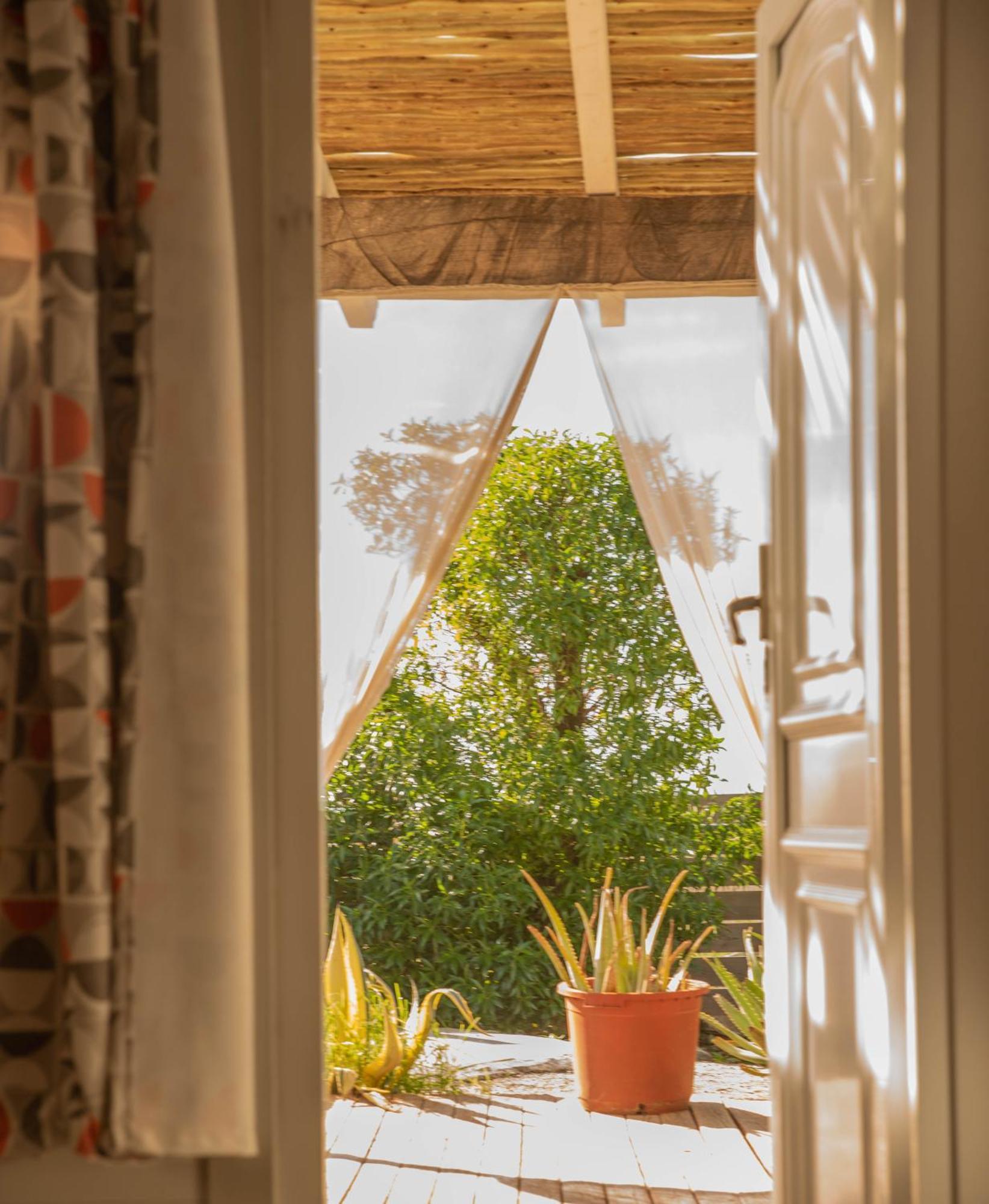 La Cabana A Orillas Del Palmar Cadiz Dış mekan fotoğraf